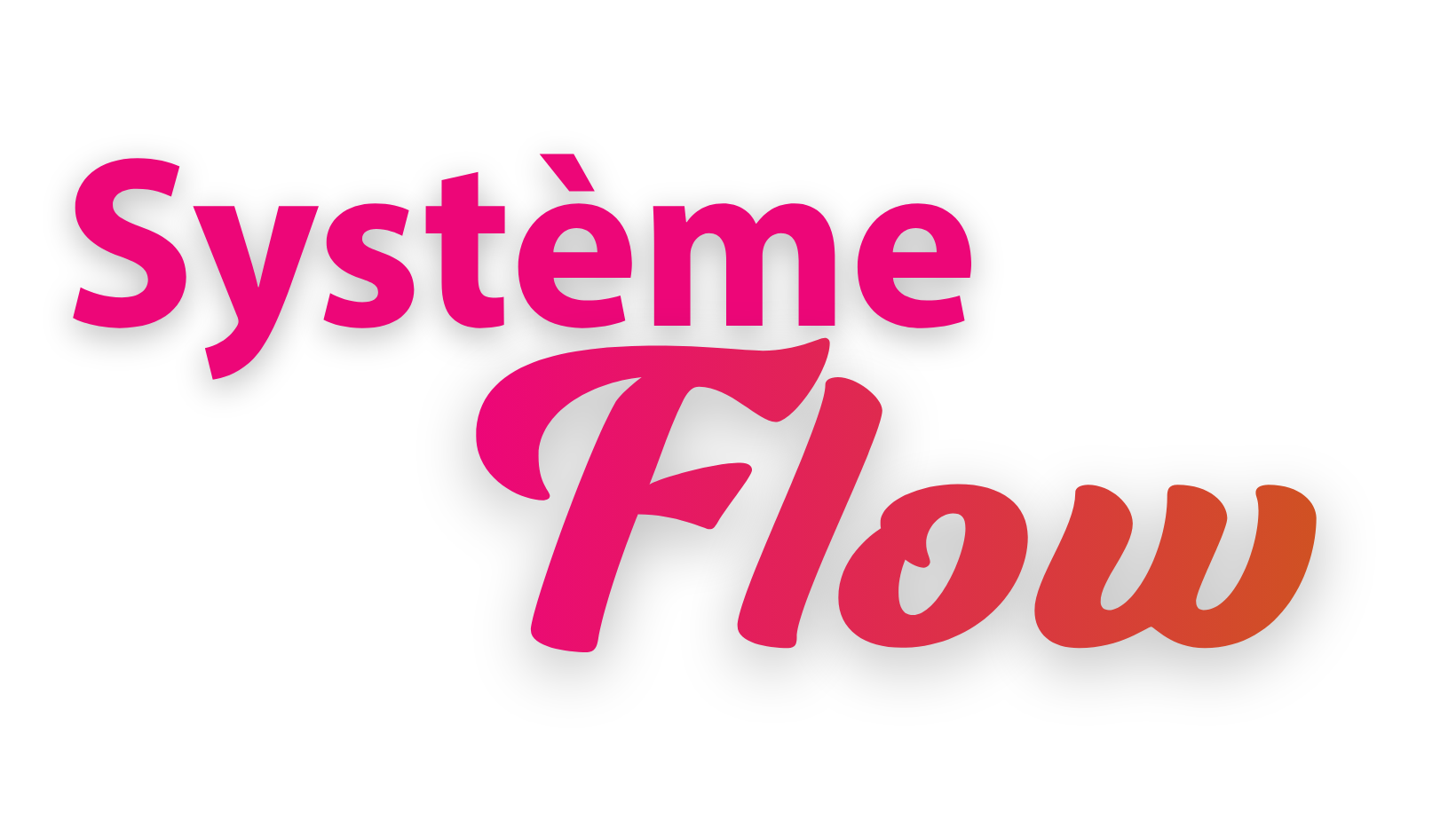 Logo Système FLOW